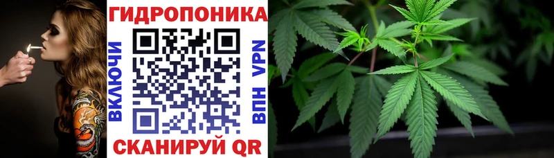 Шишки марихуана семена Новоузенск